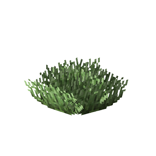 Soft coral (green)