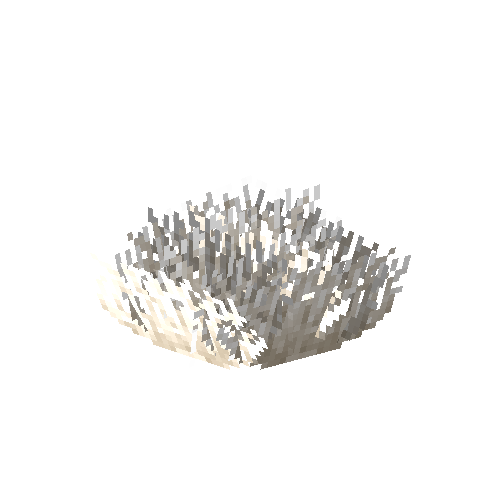 Soft coral (white)