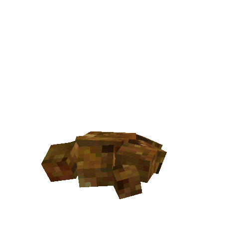 Mushroom coral (brown)