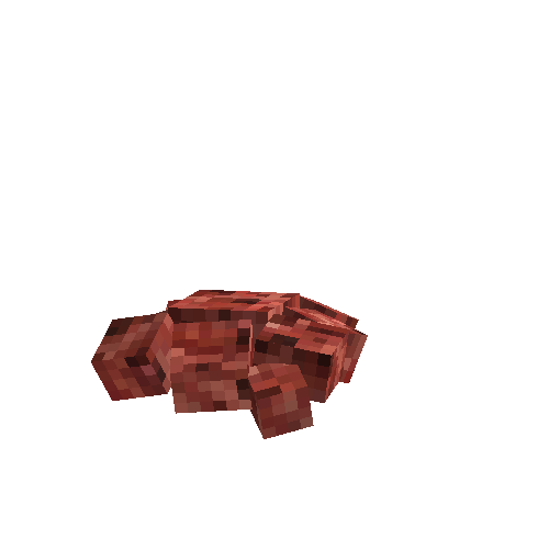 Mushroom coral (red)