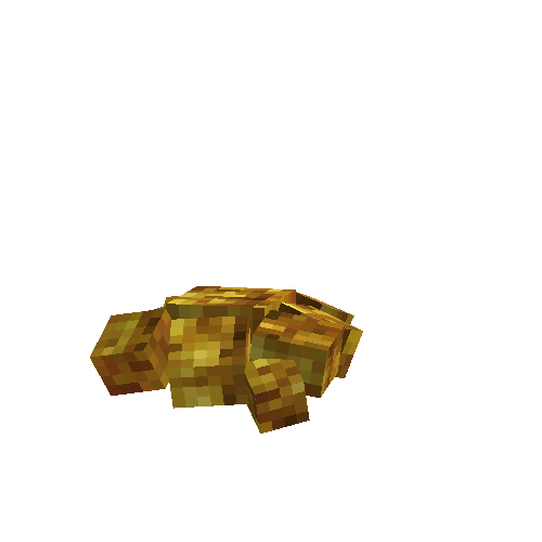 Mushroom coral (yellow)