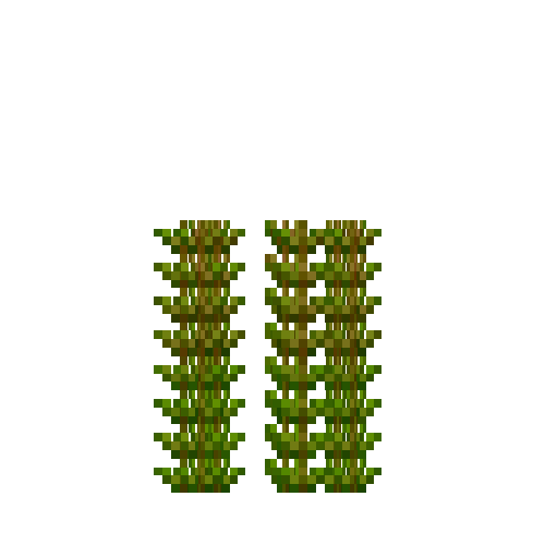 aquatic-hornwort-section