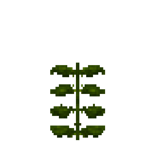 aquatic-kelp-section
