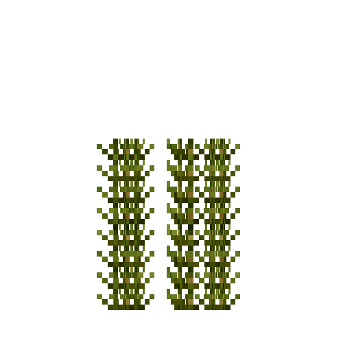 aquatic-muskgrass-section