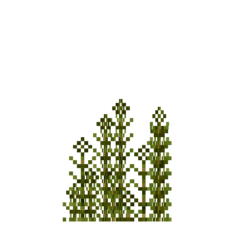 aquatic-muskgrass-top