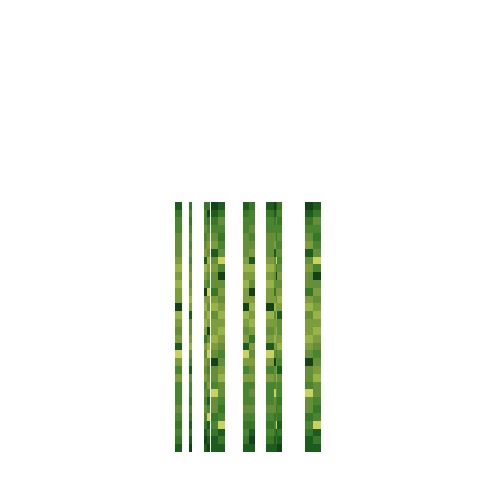 Green sea grass