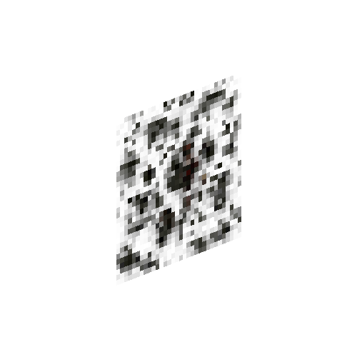 Mold layer (spotty)