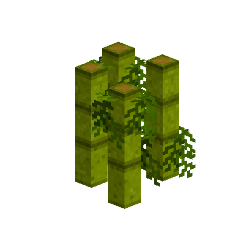bamboo-grown-green-segment1