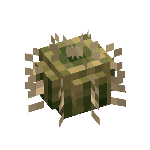 Barrel cactus
