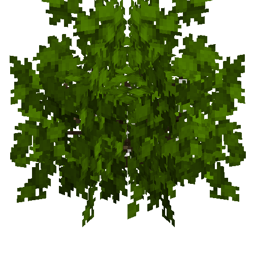 Black currant bush (Empty)