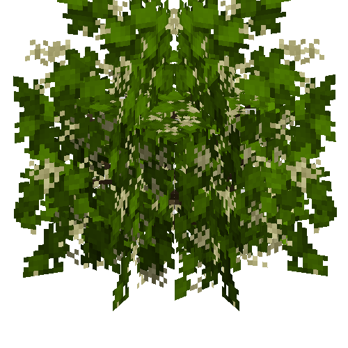 Black currant bush (Flowering)