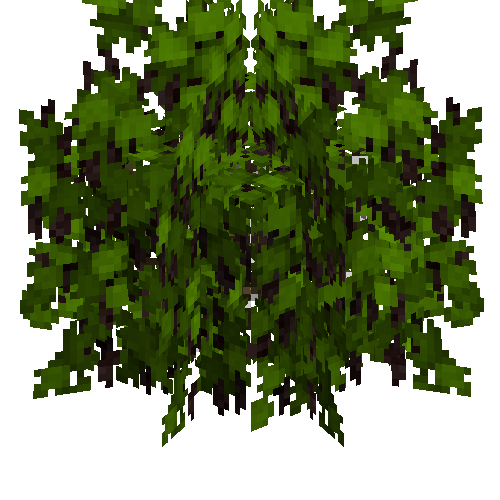 Black currant bush (Ripe)