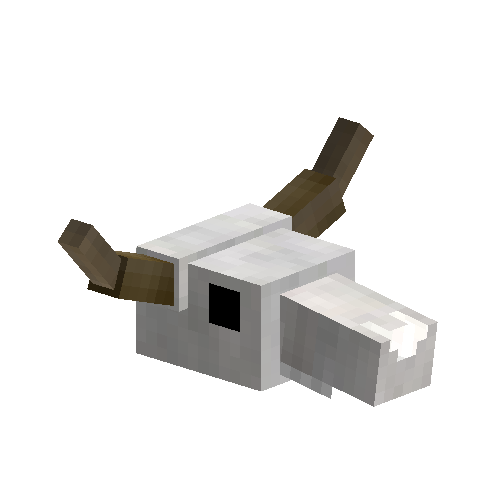 Bony Cow Skull