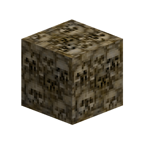 Conglomerate cobble skull