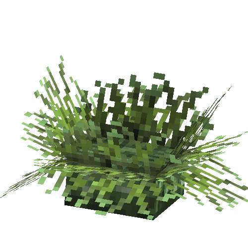 coral-anemone-green