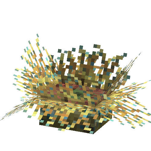 coral-anemone-mix1
