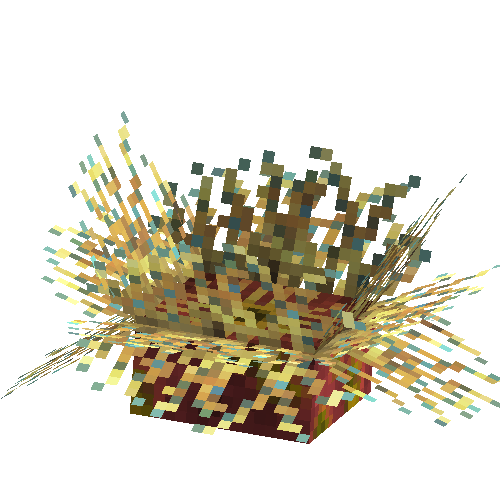 coral-anemone-mix4