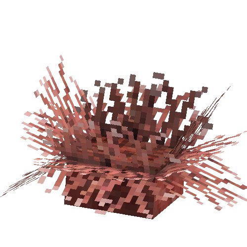 coral-anemone-red
