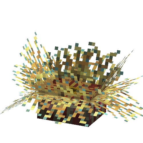 coral-anemone-stripe3