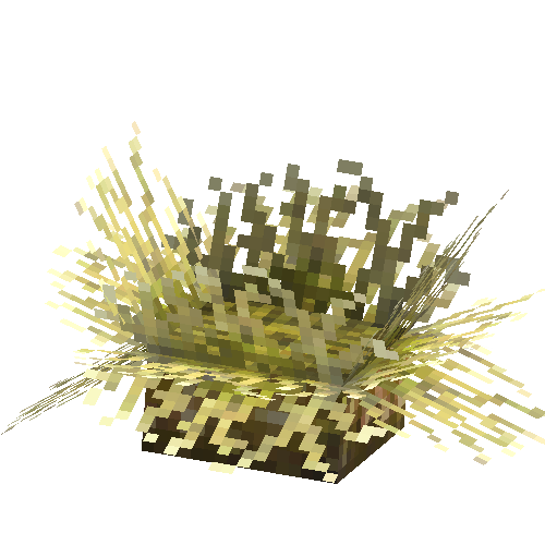 coral-anemone-yellow