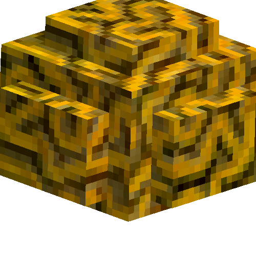 coral-brain-yellow-2