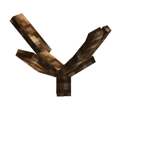 coral-branched-brown-1