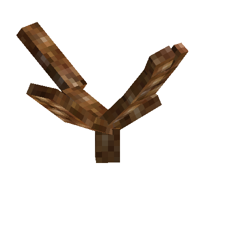 coral-branched-brown-2