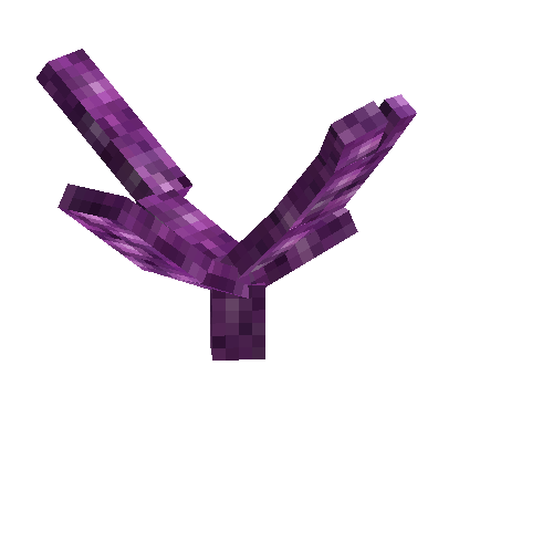coral-branched-purple-2