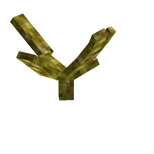 coral-branched-yellow-2