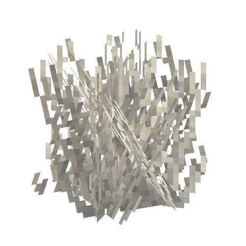 coral-fan-dead-1