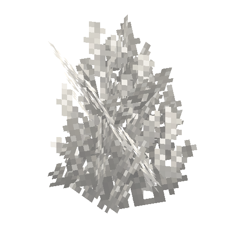 coral-fan-dead-2