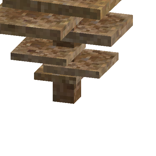 coral-shelf-tall-brown-1