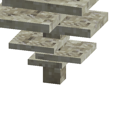 coral-shelf-tall-dead-1