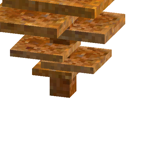 coral-shelf-tall-orange-1