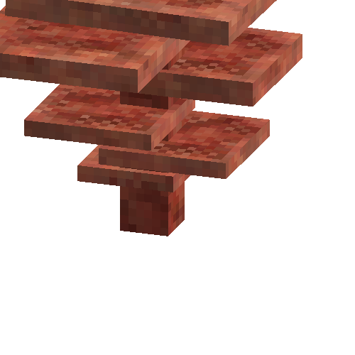 coral-shelf-tall-red-1