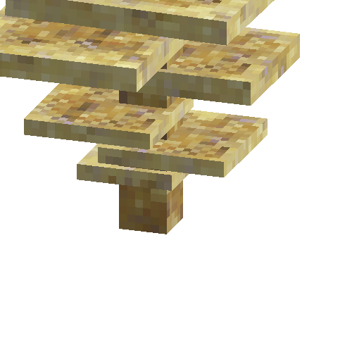coral-shelf-tall-tan-1