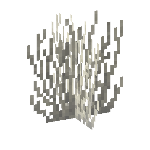 coral-shrub-dead-1
