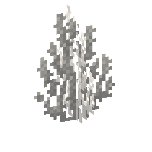 coral-shrub-dead-2