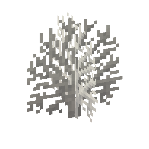 coral-shrub-dead-3