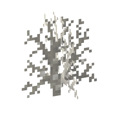 coral-shrub-dead-4