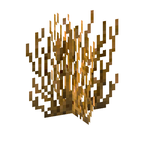 coral-shrub-orange-1