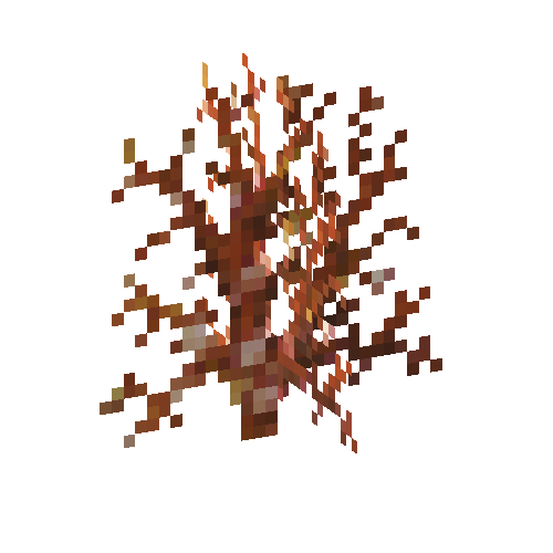 coral-shrub-orange-4