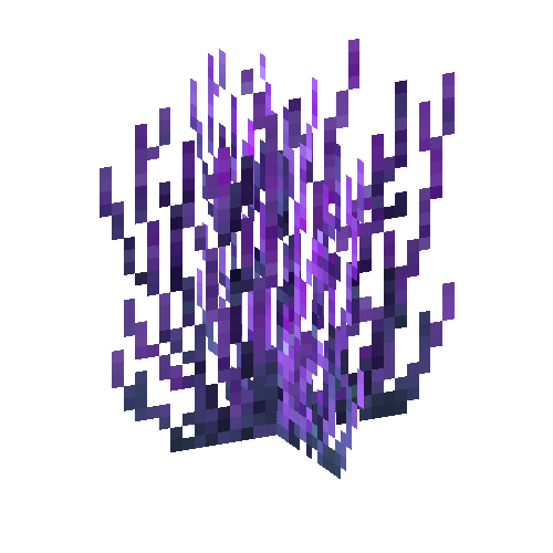 coral-shrub-purple-1
