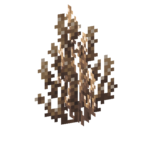 coral-shrub-tan-2