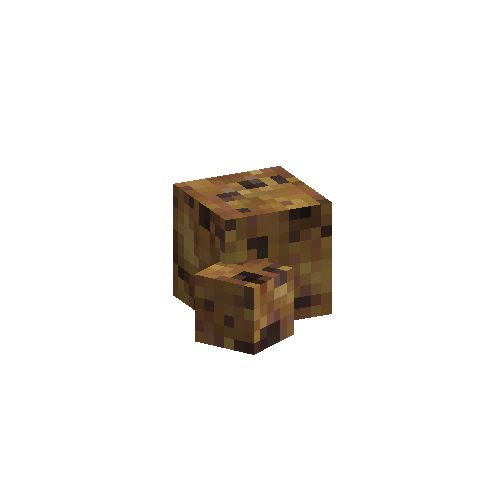 coral-sponge-smooth-brown-2