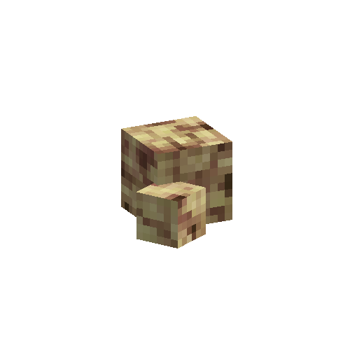 coral-sponge-smooth-brown-5