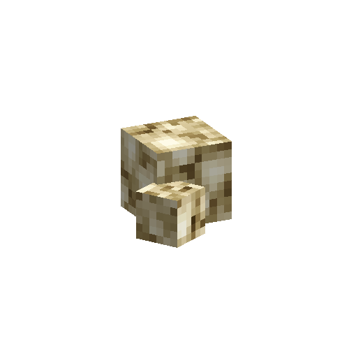 coral-sponge-smooth-dead-1