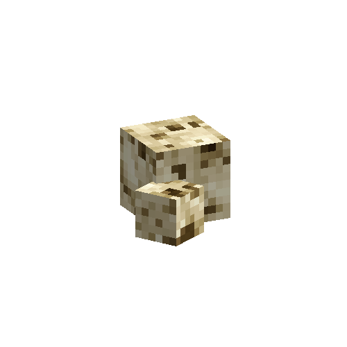 coral-sponge-smooth-dead-2