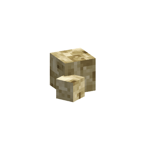 coral-sponge-smooth-dead-3