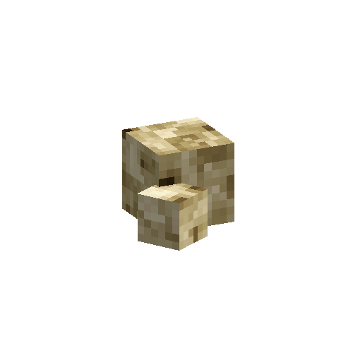 coral-sponge-smooth-dead-4
